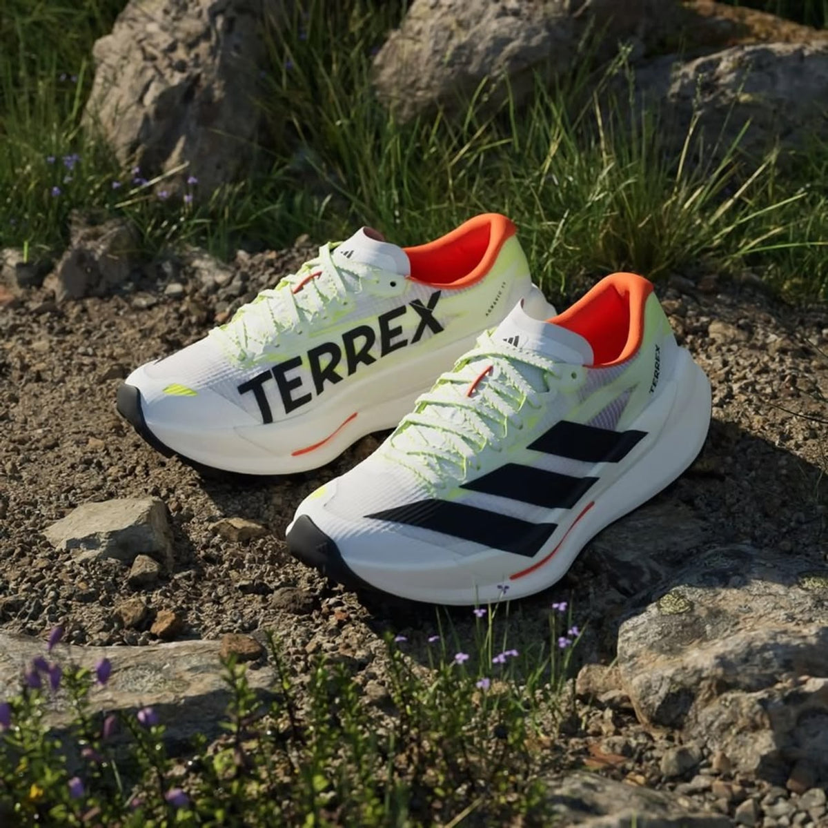Adidas Terrex Agravic TT