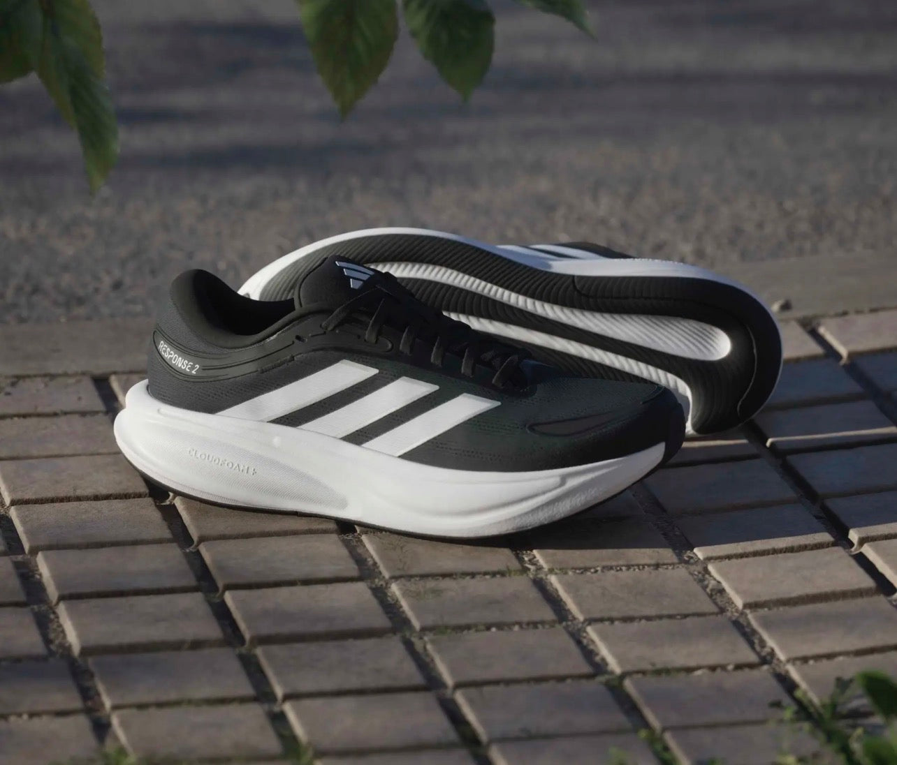 Adidas terex