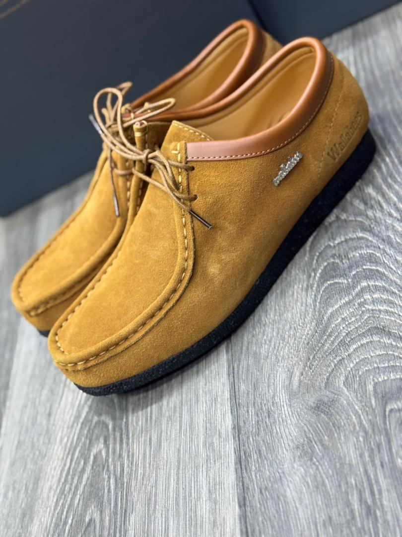 Wallabies