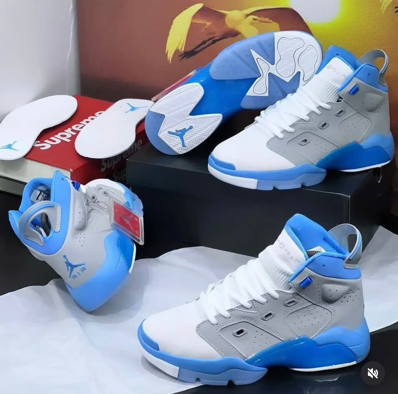 Jordan retro 6