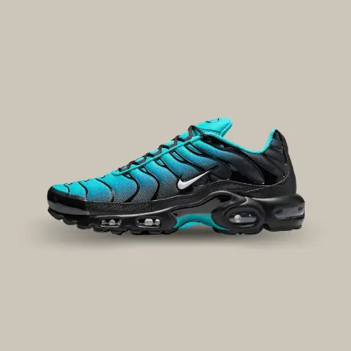 Nike TN disponible