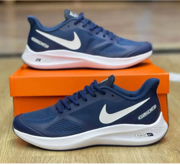 Nike Zoom guide 10
