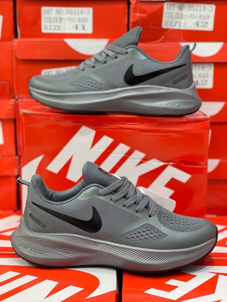 Nike Air Zoom Guide 10